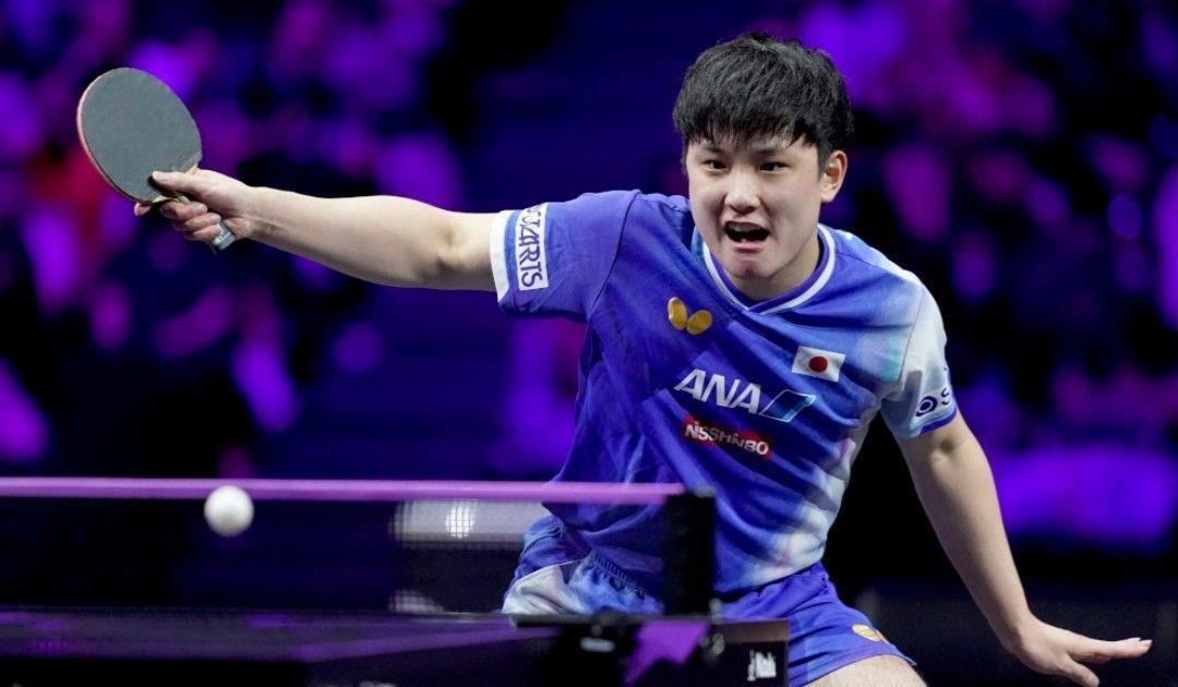 entit, 张本智和距, alt